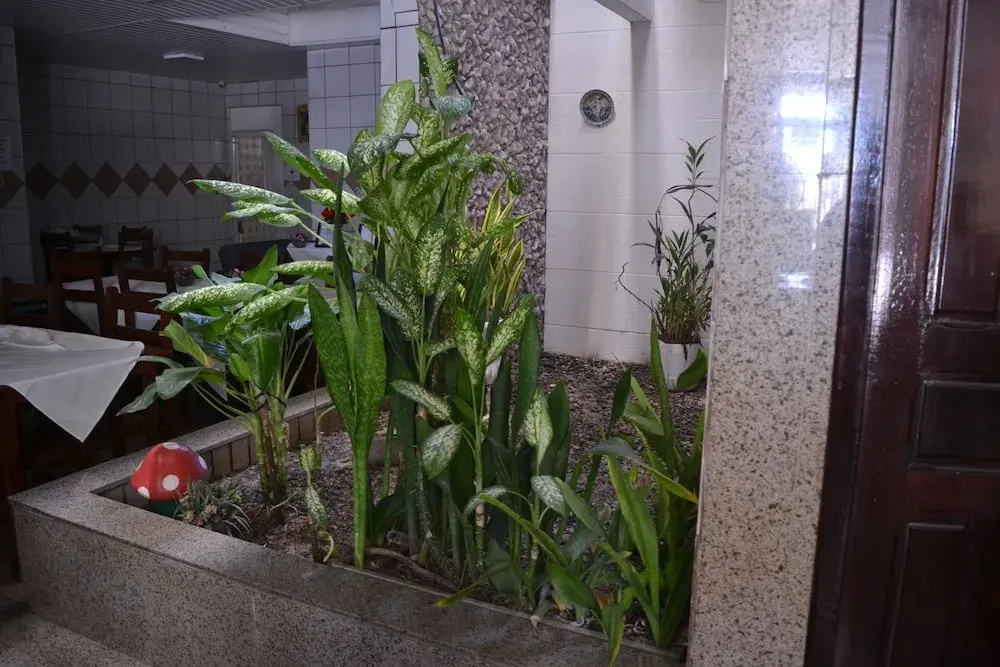 Hotel photo 19