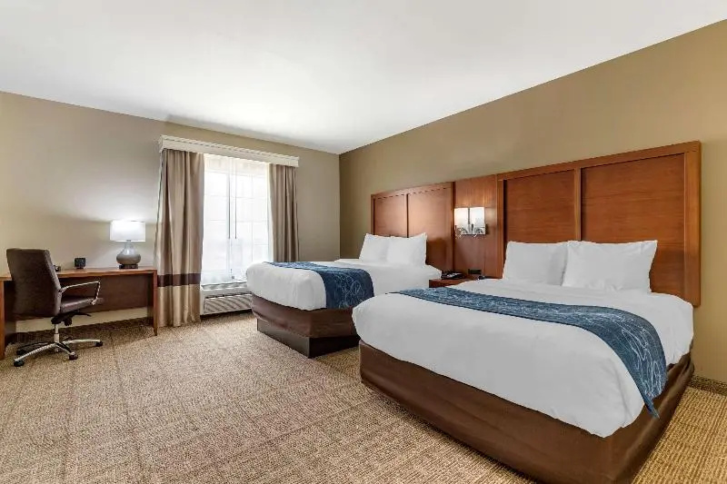 Double Suite (twin beds)