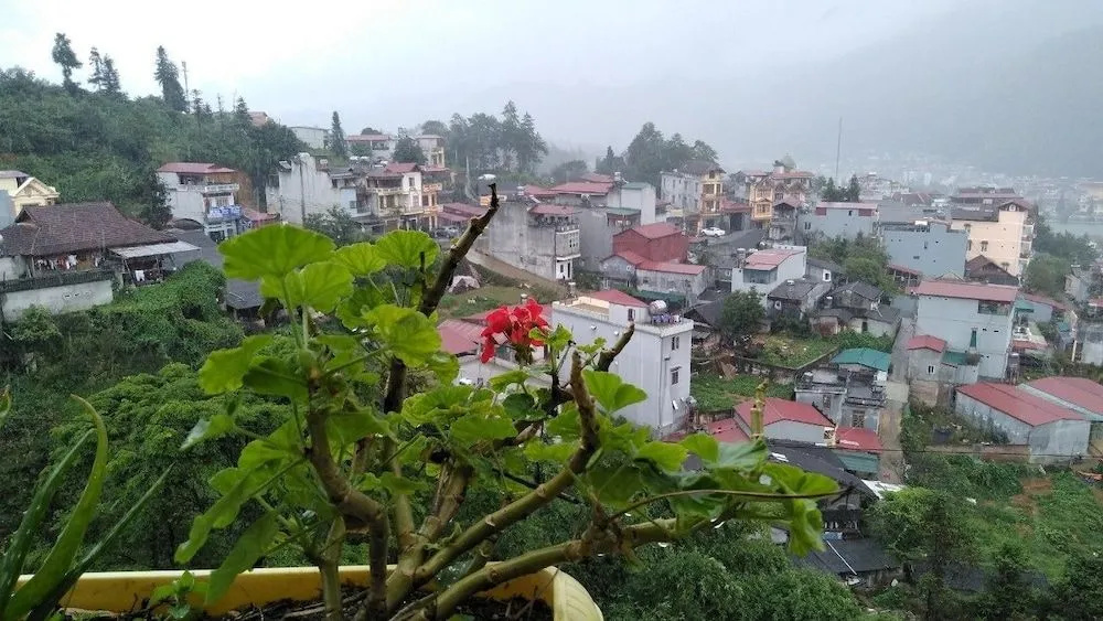 Sapa Indigo Inn