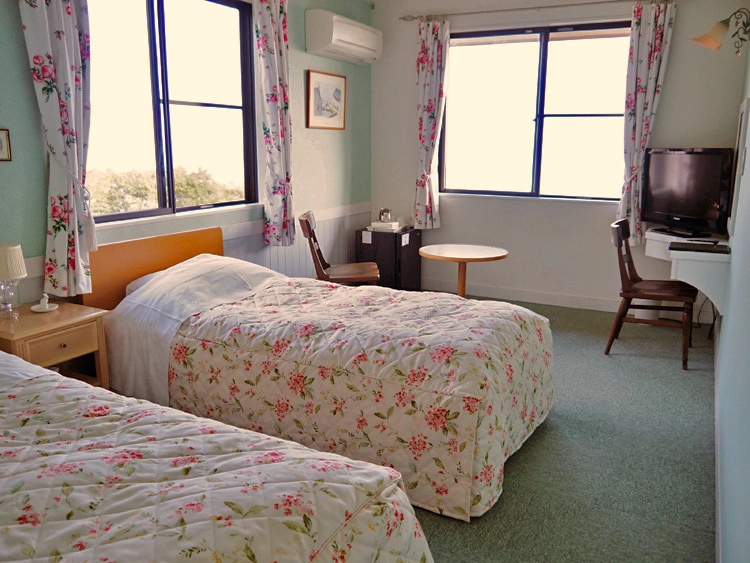 Standard Double room oceanfront (twin beds)
