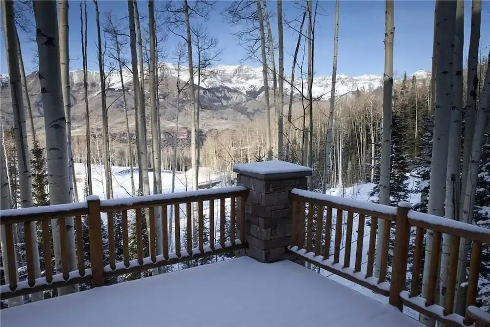 Snowdrift Cabin - Général