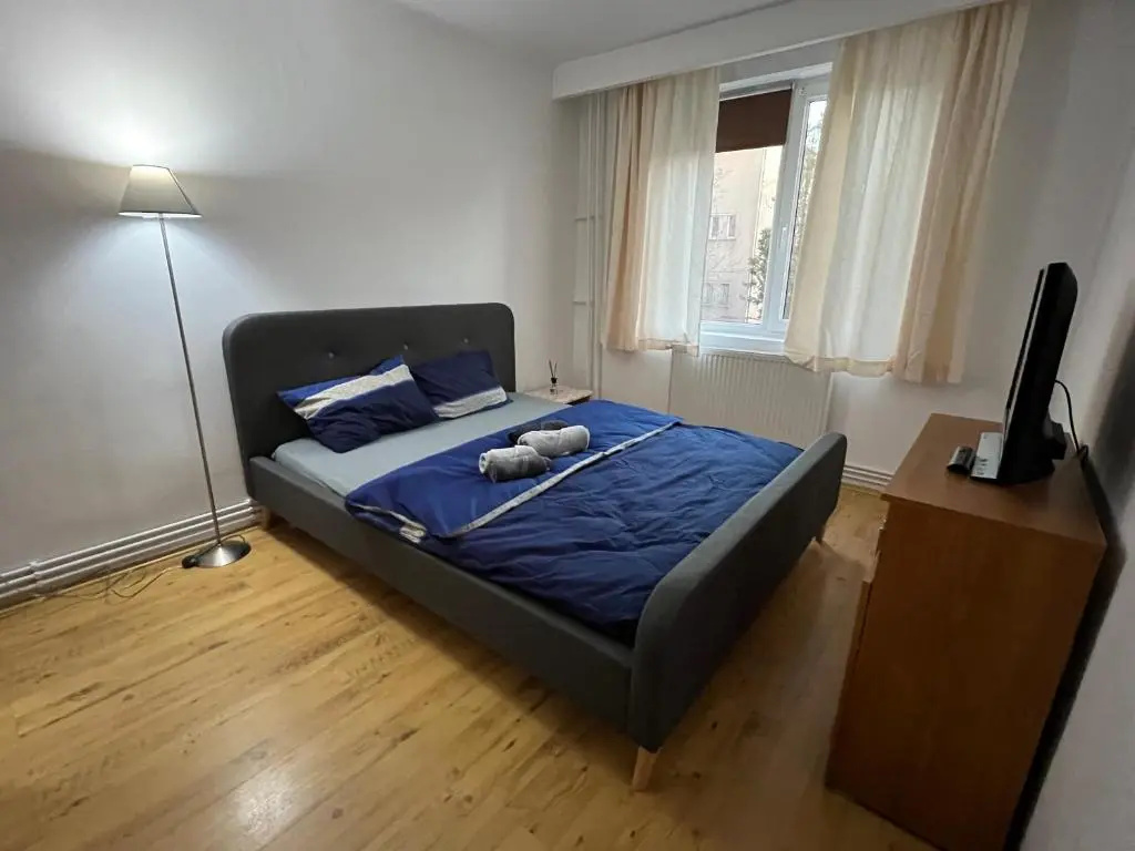 Apartment 2 camere Centru Piata 700