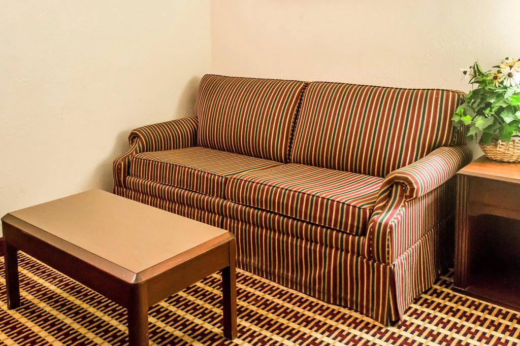 Economy Inn & Suites - фото 10