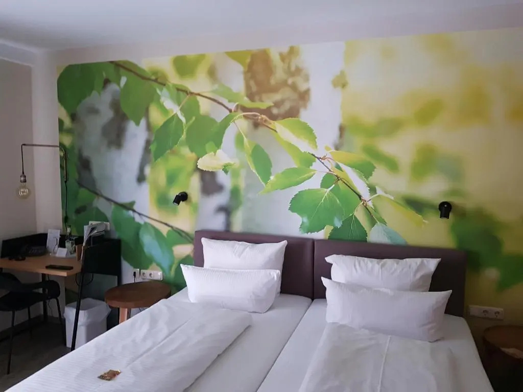 Standard Double room (full double bed)
