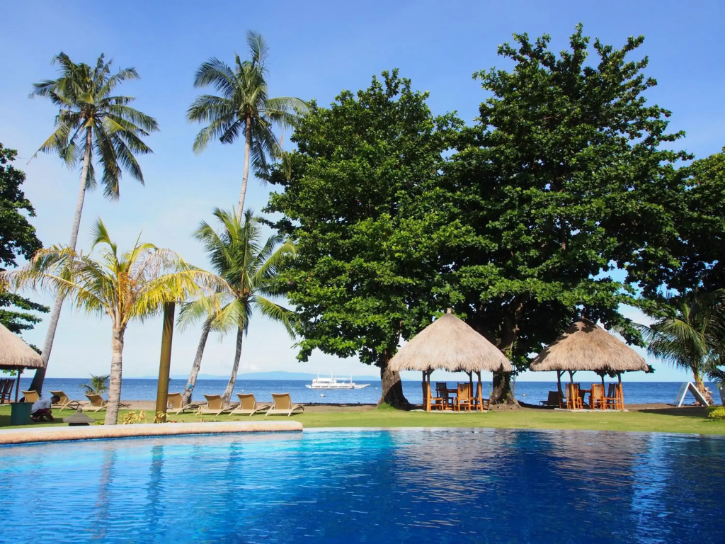 Pura Vida Beach & Dive Resort - фото 15