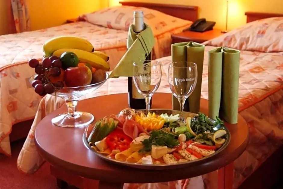 Hotel Vistula - Chambres