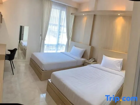 Deluxe Double room with city view (twin beds)
