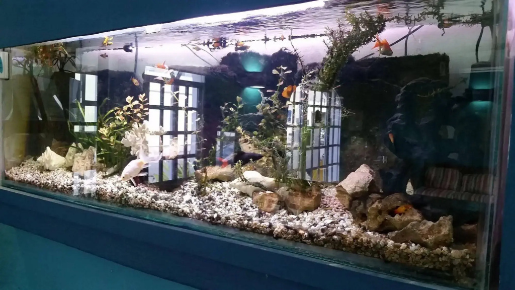 El Acuario Hotel - Général