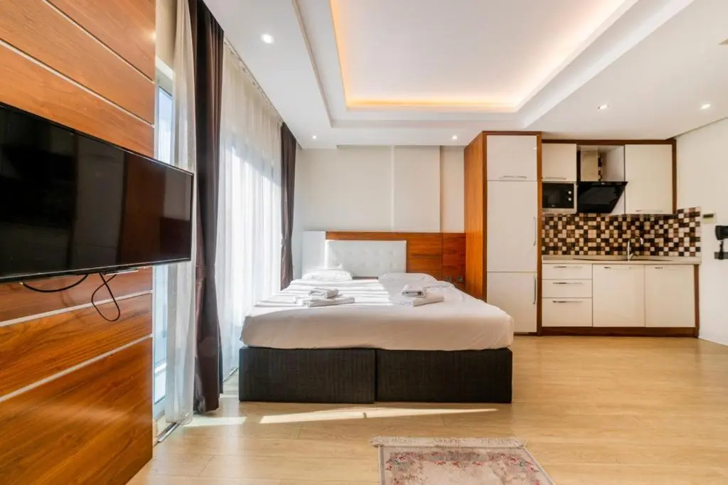 1 Bedroom Apartment