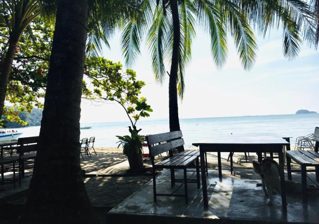 Beach & Waterfront