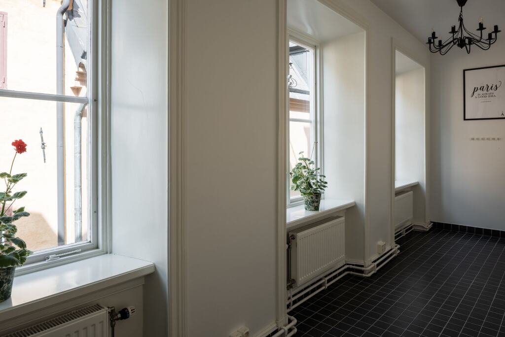 Image 15