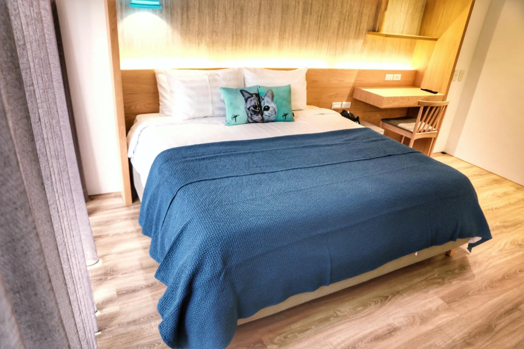 Standard Double room (full double bed)