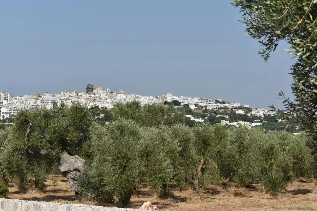 Masseria Montecchie - Chambres