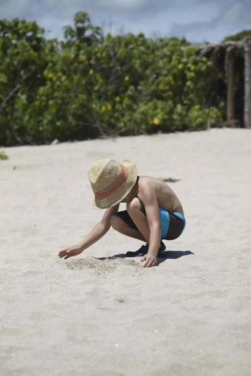 The Harmony Hotel - фото 7