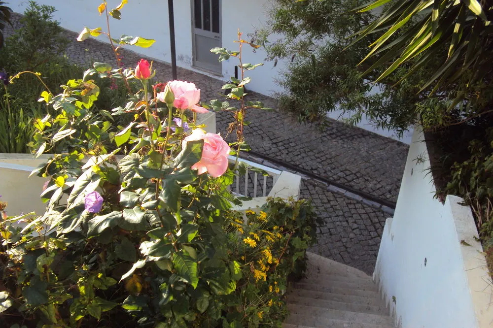 Hospedaria D. Maria - Général