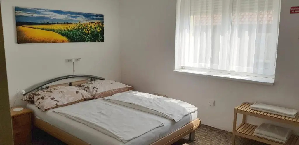Standard Double room (full double bed)