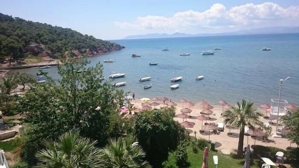 Beach & Waterfront