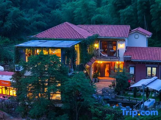 My Same Zen Flower · Green Forest Immortal Garden Ins Style Designer Aesthetic Beauty Stay