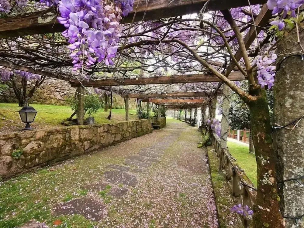 Pazo de Adrán - Chambres