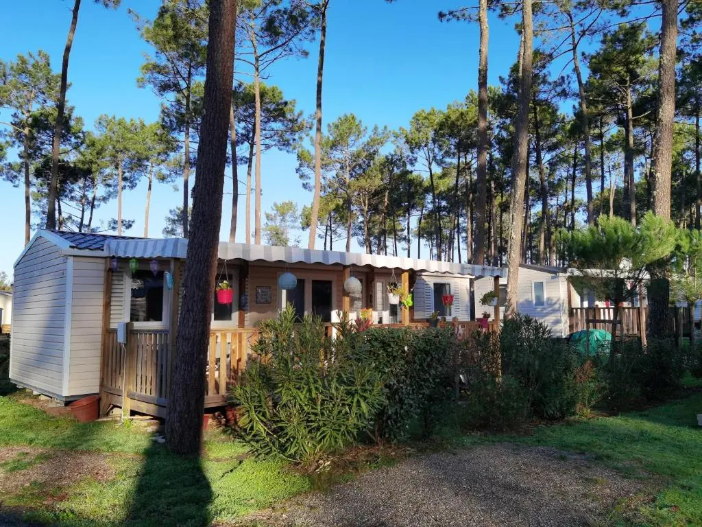 Voir la photo 2 — Bungalow de 3 chambres avec piscine partagee jardin amenage et wifi a Saint Julien en Born