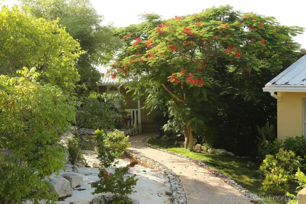 Kokomo Botanical Resort