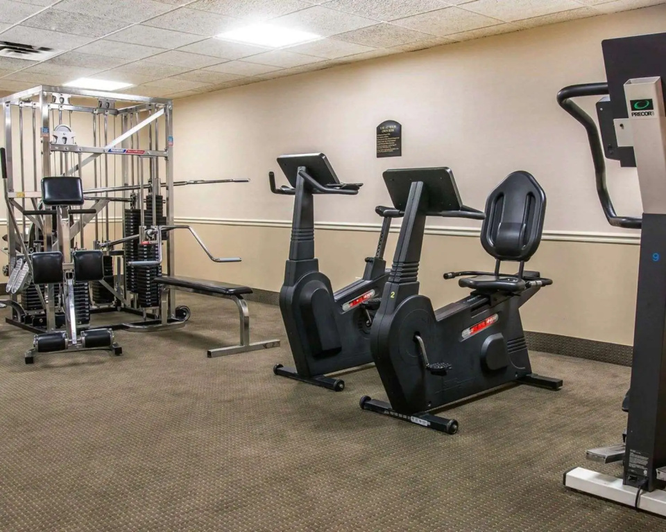 Wingate by Wyndham Livonia - Général