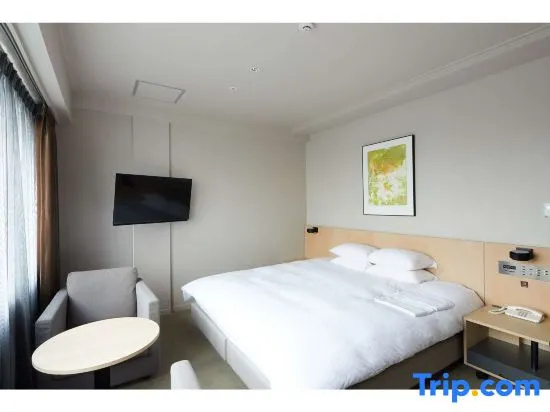 Standard Double room with city view (full double bed)
