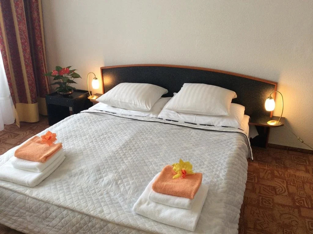 Hotel Šumava - Général