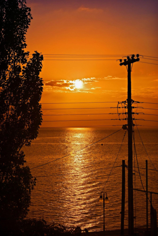 Hotel photo 50