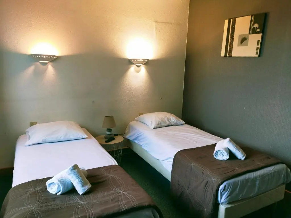 Standard Double room (twin beds)