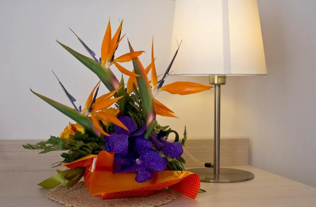 Club Village & Hotel Spiaggia Romea - Chambres