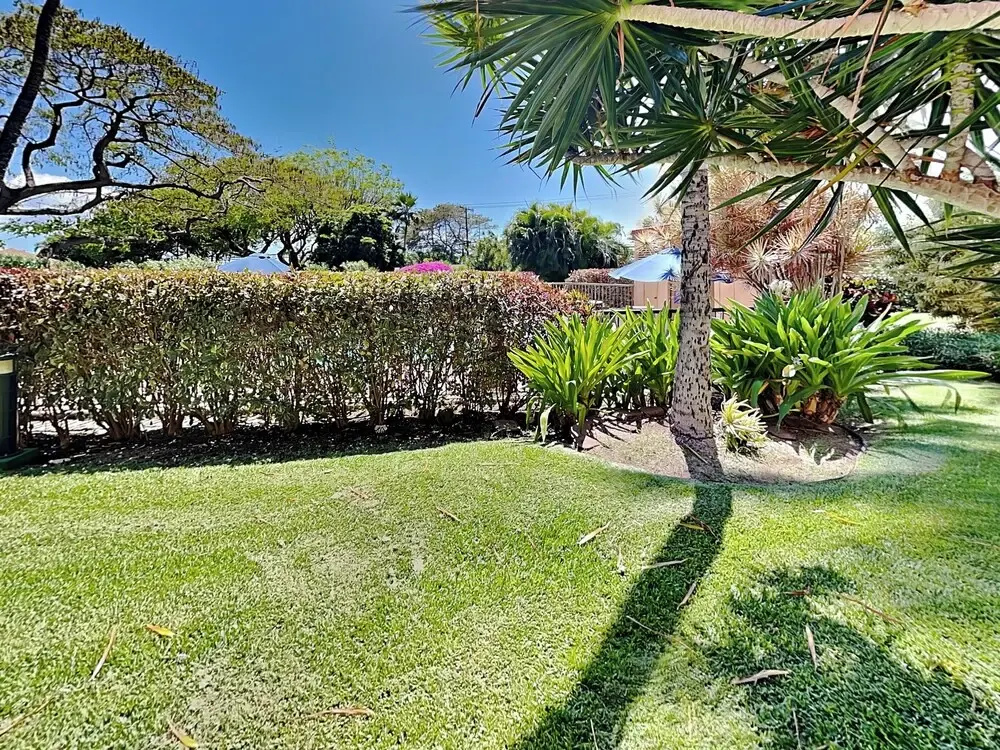 Maui Vista 1106, Kihei