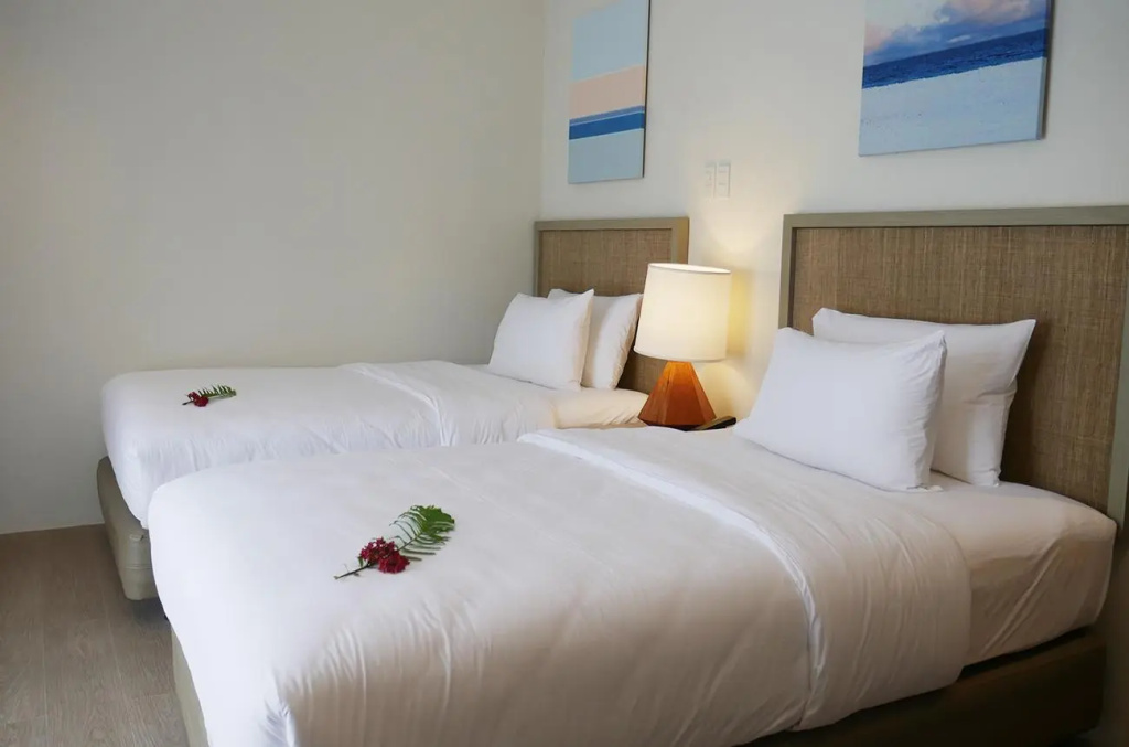 Deluxe Double room (twin beds)