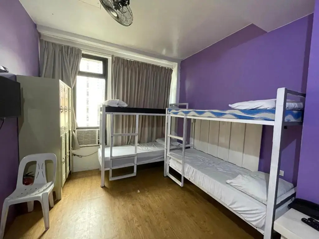 The Purple Tree Hostel