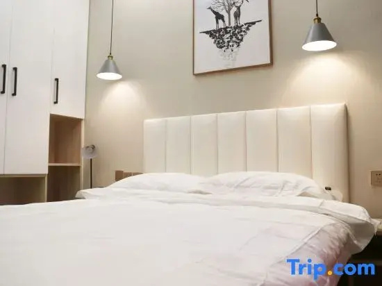 Standard Double Apartment (full double bed)