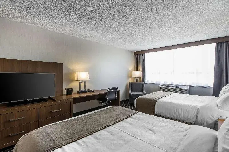 Quality Inn Corner Brook - Chambres