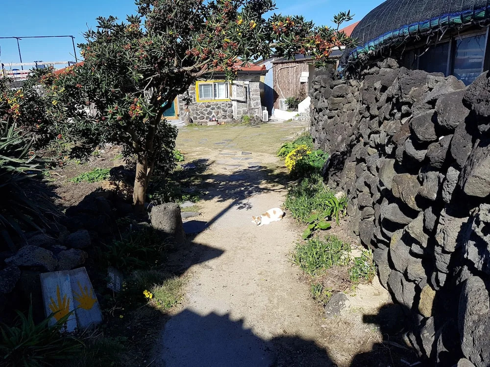 Santiago Guesthouse Hamdeok - Hostel
