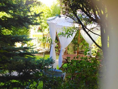 Hotel Boutique America