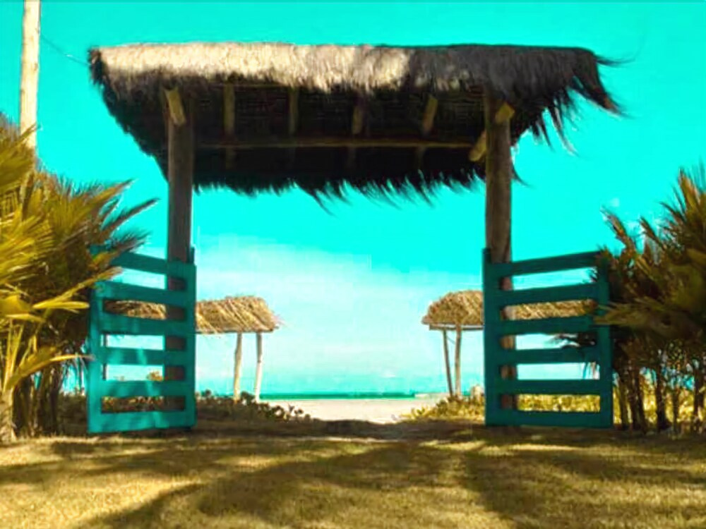 Beach & Waterfront