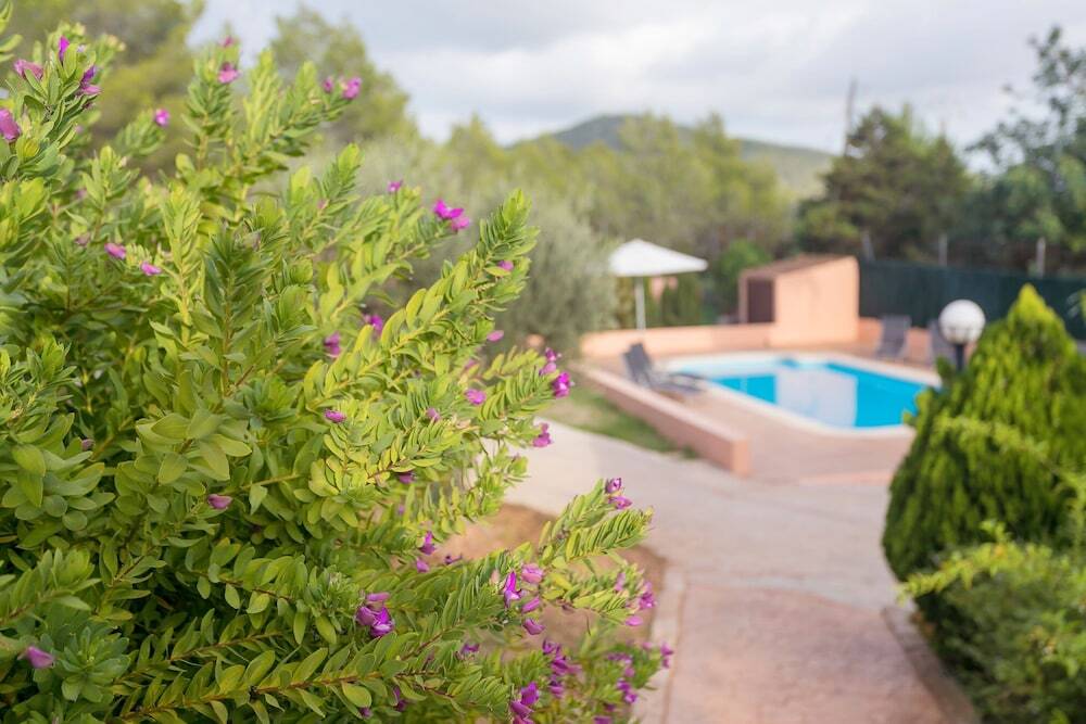 gallery_image_hidden_14