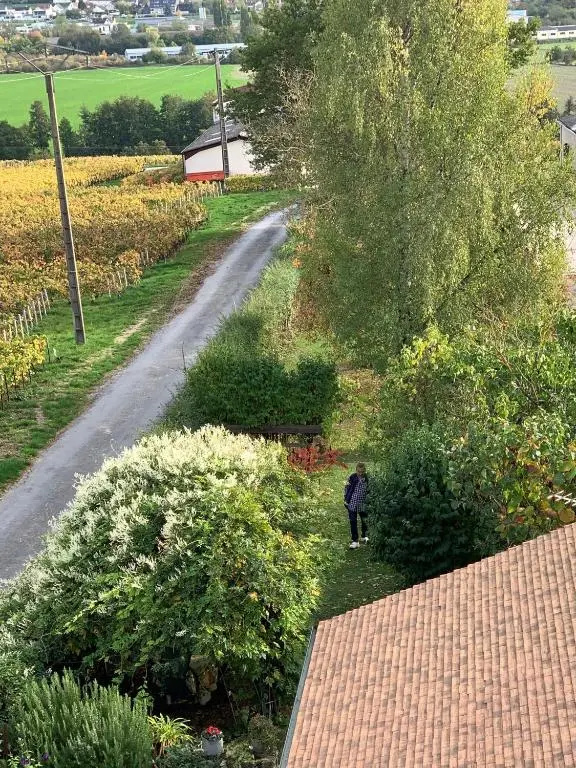 Voir la photo 2 — Villa l'INSOUCIANCE en Champagne