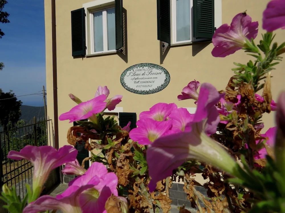Lecci Di Soviore