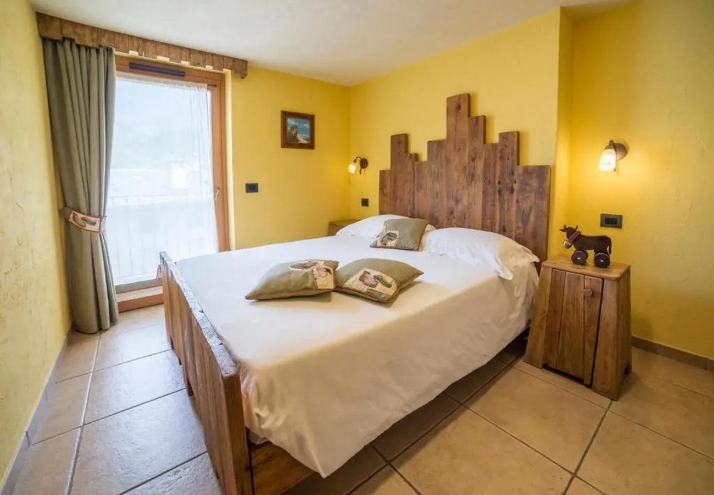 Standard Double room with mountain view (full double bed)