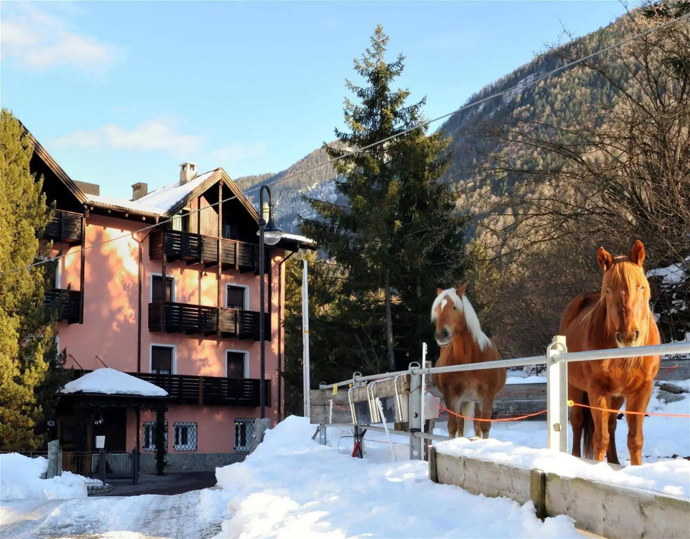 Parkhotel Bellevue