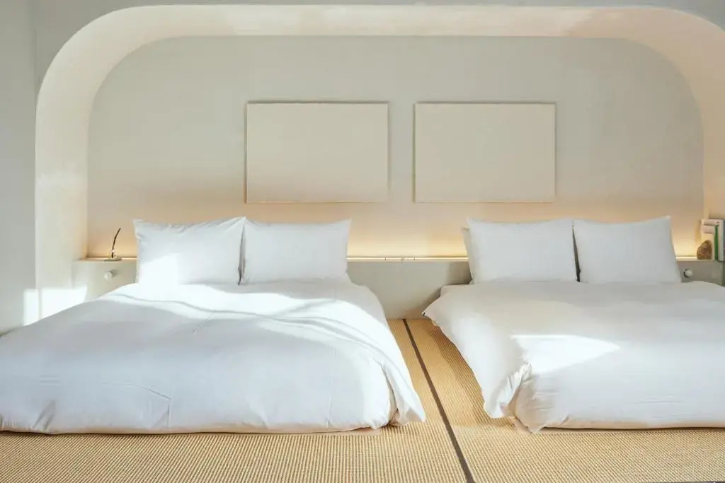 Superior Double room (twin beds)
