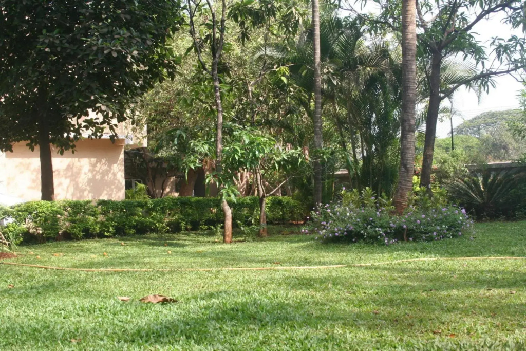 Ferreira Resort - Général