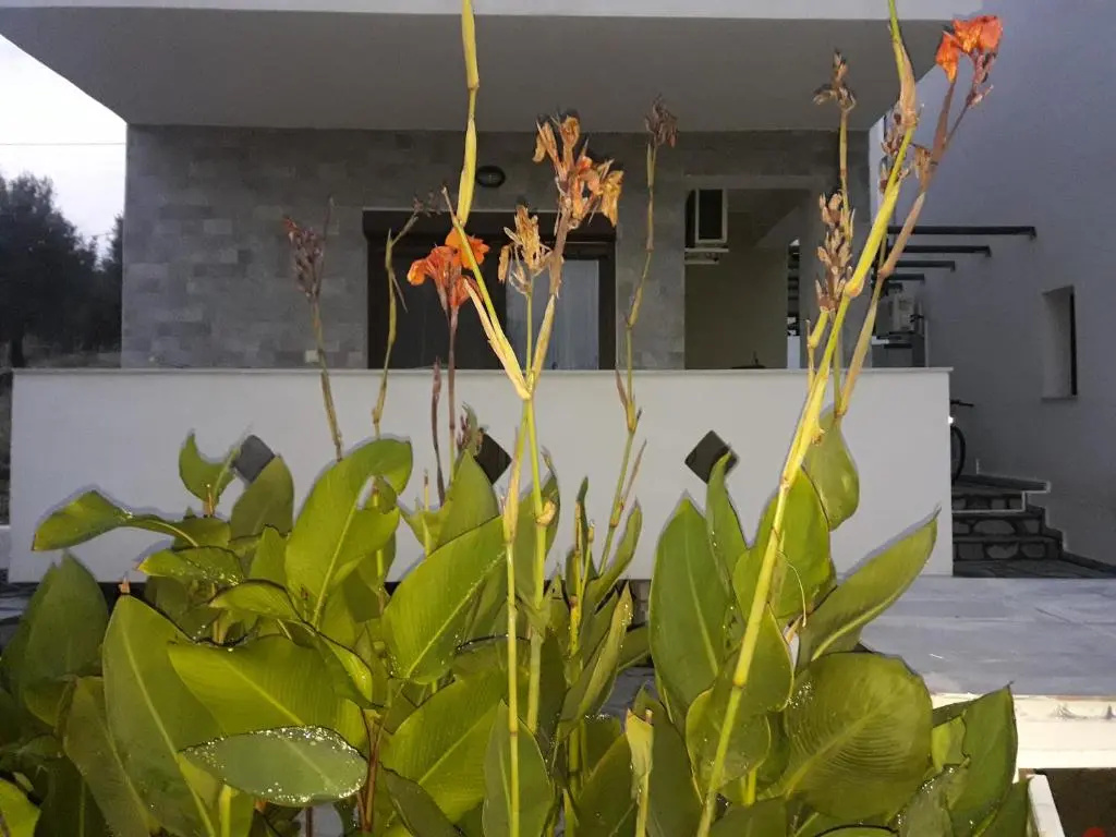 2 Bedrooms Cottage