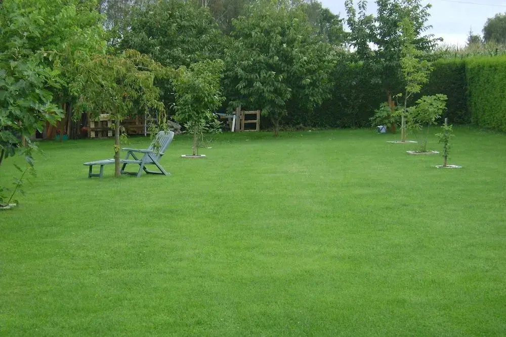 B&B Le Castillon