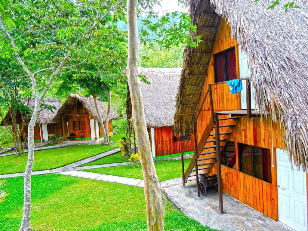 Hostal Oasis The Traveler - Hostel
