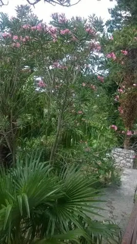 Jasmina Guesthouse
